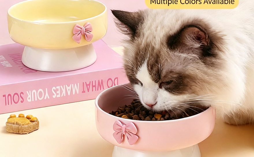 3 Reasons Why Your Cat Needs an Elevated Ceramic Bowl