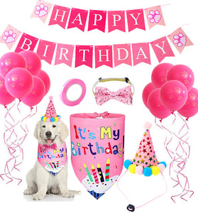 Dog Birthday Costume Set
