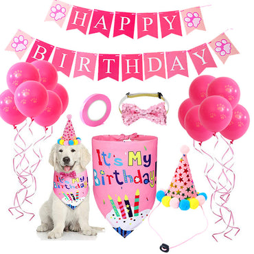 Dog Birthday Costume Set